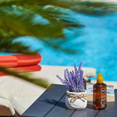 Casa vacanze House Niva *