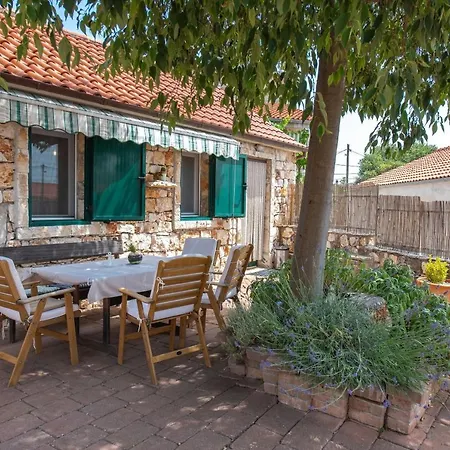 House Niva * Marina